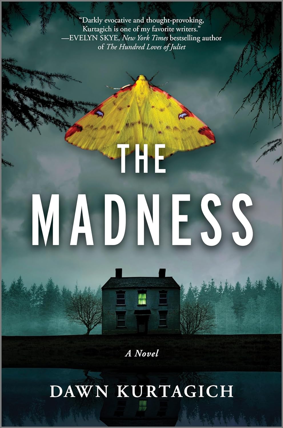 Madness by Dawn Kurtagich