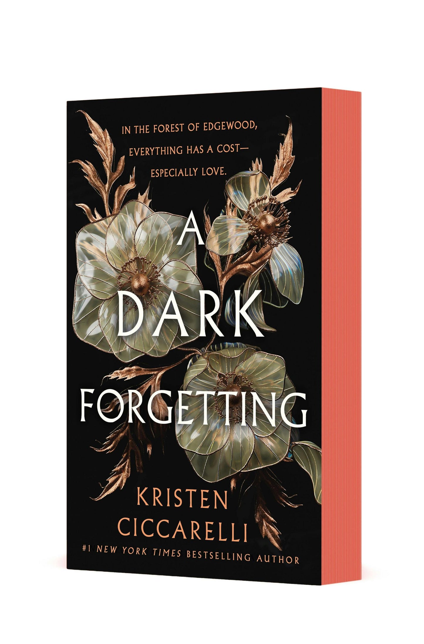 (11/04) A Dark Forgetting - by Kristen Ciccarelli (Paperback)