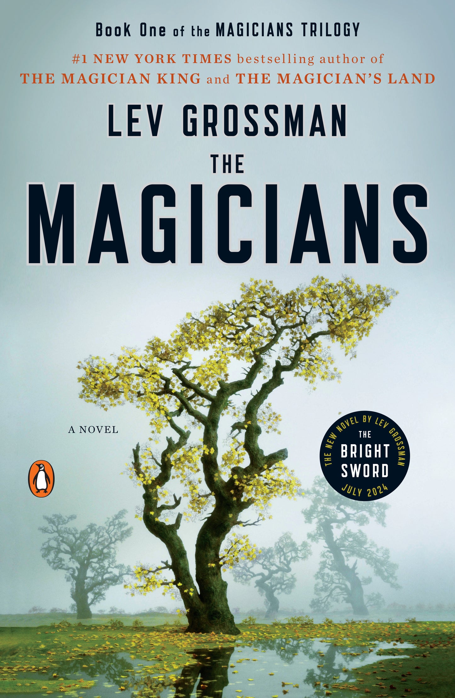 (FINAL SALE) Magicians - The Magicians #1 by Lev Grossman