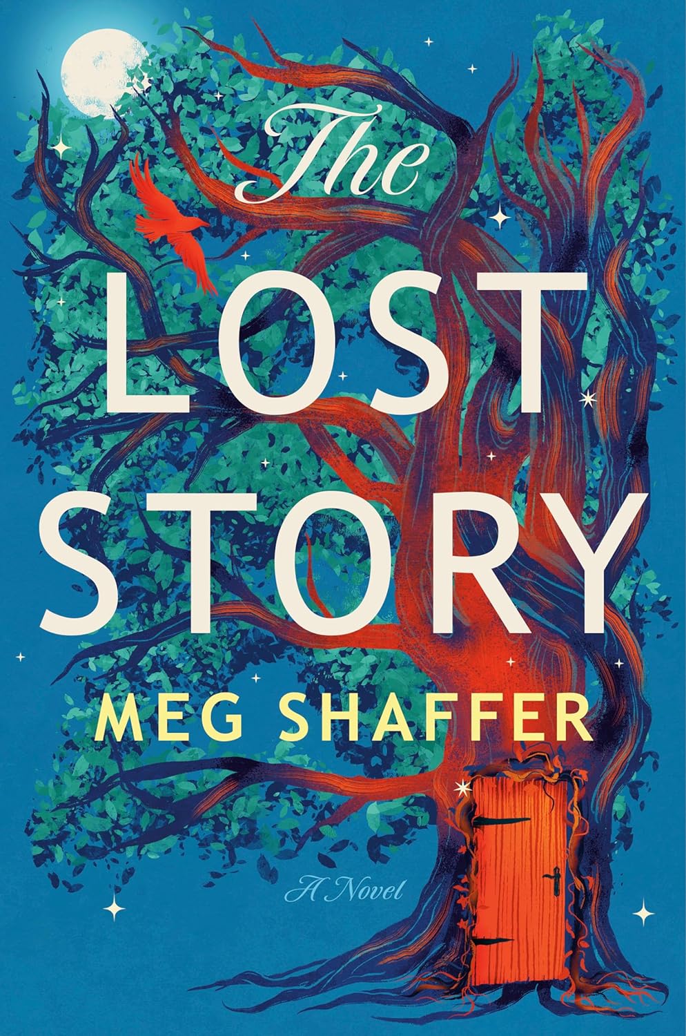 Lost Story (Hardcover)