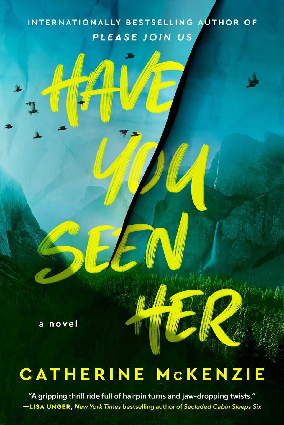 Have You Seen Her by Catherine McKenzie