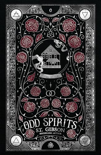 Odd Spirits - by S T Gibson (Hardcover)