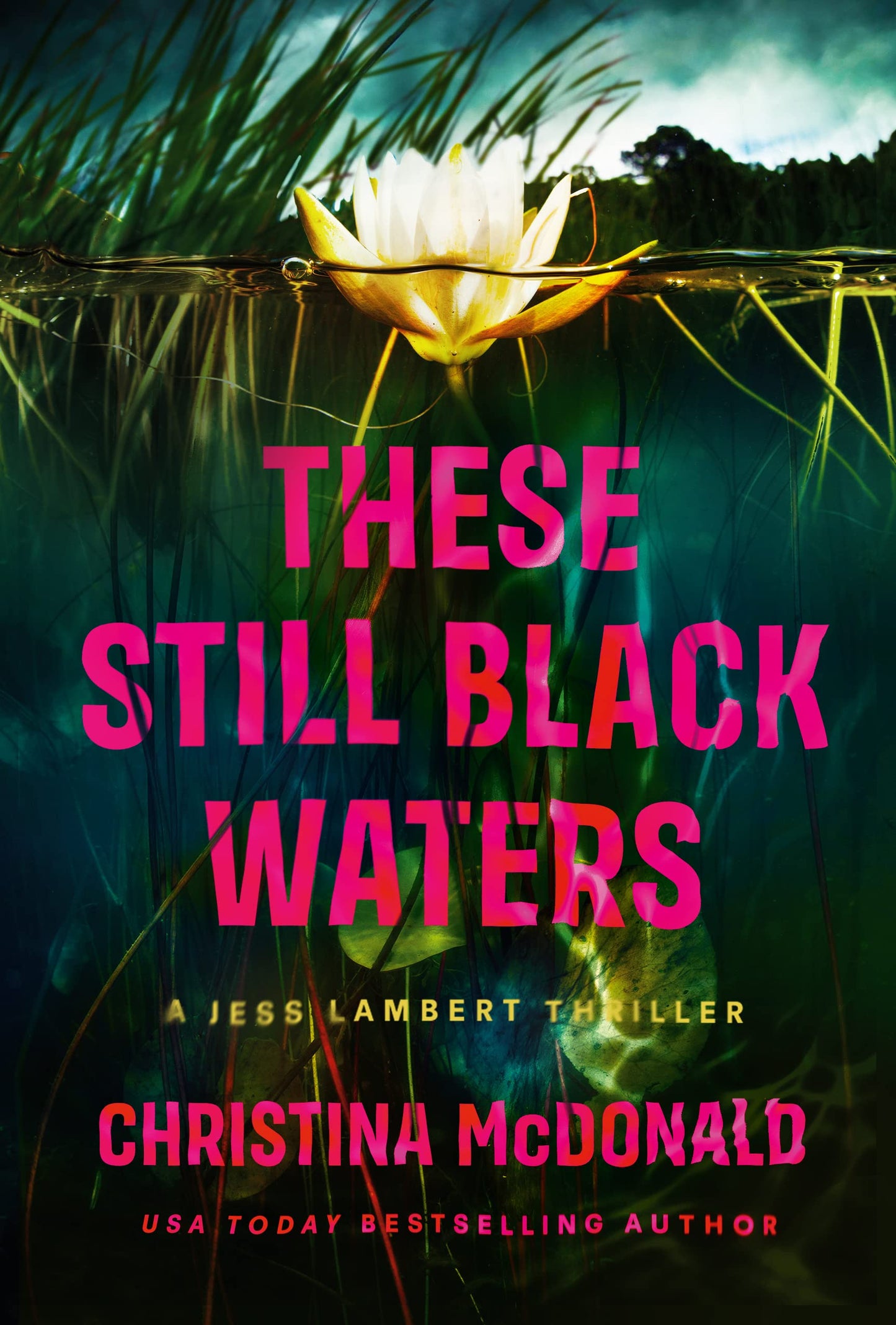 These Still Black Waters - Jess Lambert #1 by Christina McDonald