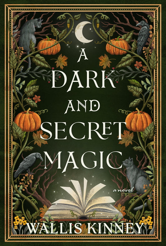 Dark and Secret Magic - by Wallis Kinney (Hardcover)