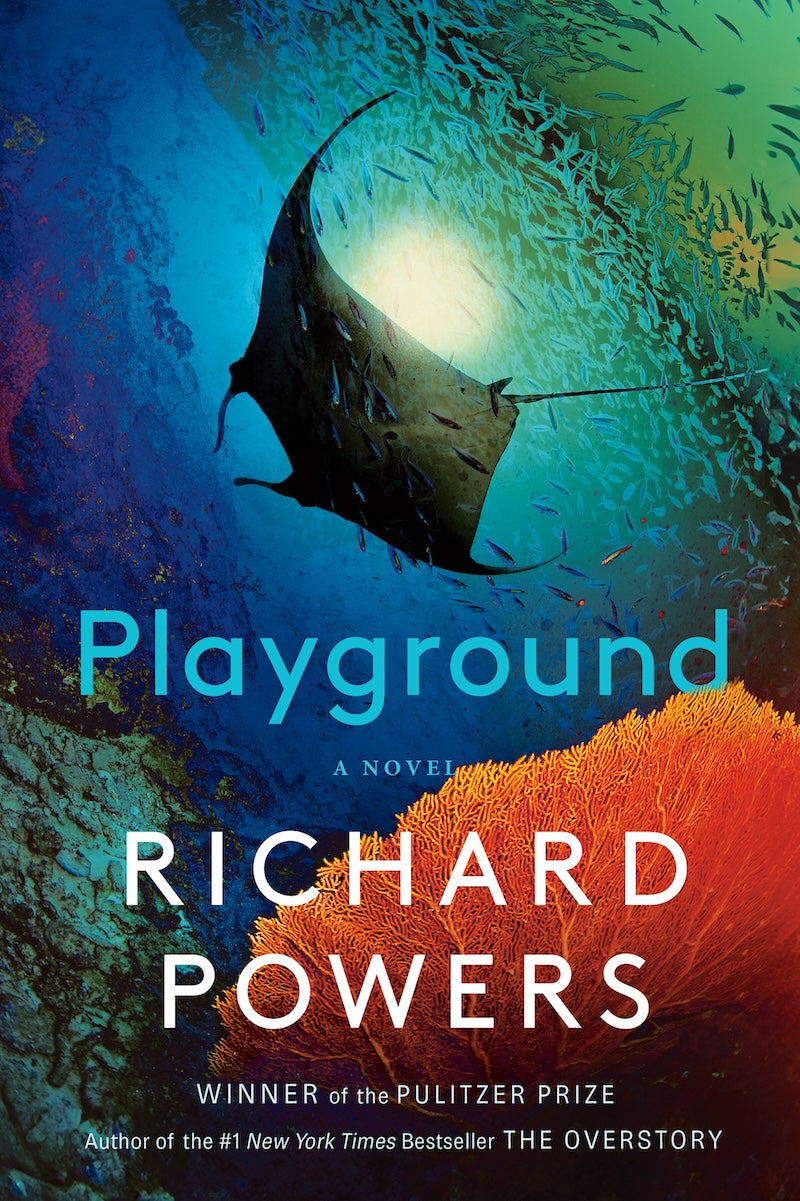 Playground - by Richard Powers (Hardcover)